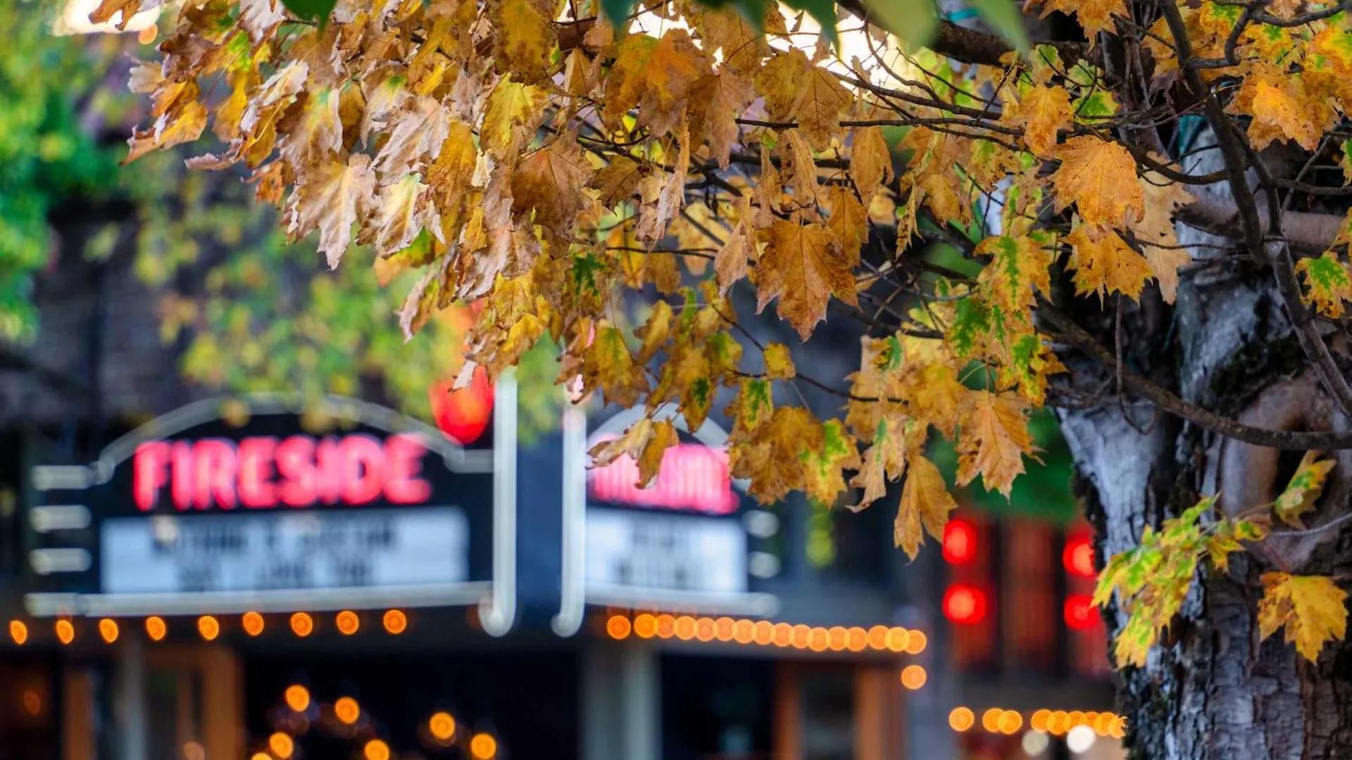 Stay Portland - The Retrouvailles Suite- Espresso & Craft Brews 0*,  USA